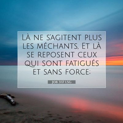 Picture 07 - Job 3:17 LSG - Là ne s'agitent plus les méchants, Et là se - Bible Verse Picture