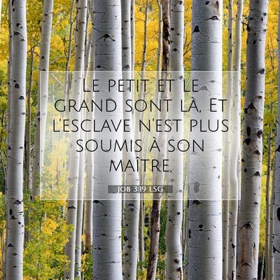 Picture 07 - Job 3:19 LSG - Le petit et le grand sont là, Et l'esclave n'est - Bible Verse Picture