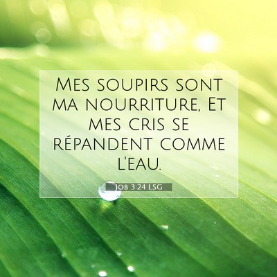 Picture 07 - Job 3:24 LSG - Mes soupirs sont ma nourriture, Et mes cris se - Bible Verse Picture
