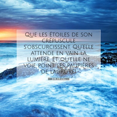 Picture 07 - Job 3:9 LSG - Que les étoiles de son crépuscule - Bible Verse Picture