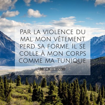 Picture 07 - Job 30:18 LSG - Par la violence du mal mon vêtement perd sa - Bible Verse Picture