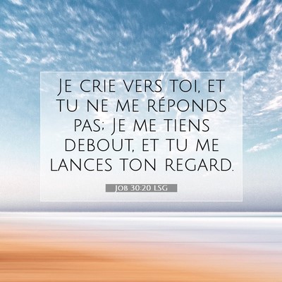Picture 07 - Job 30:20 LSG - Je crie vers toi, et tu ne me réponds pas; Je me - Bible Verse Picture
