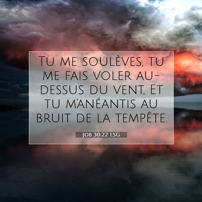 Picture 07 - Job 30:22 LSG - Tu me soulèves, tu me fais voler au-dessus du - Bible Verse Picture