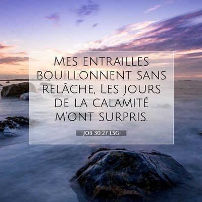 Picture 07 - Job 30:27 LSG - Mes entrailles bouillonnent sans relâche, Les - Bible Verse Picture