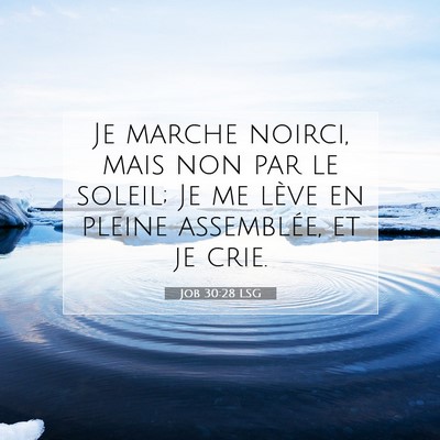 Picture 07 - Job 30:28 LSG - Je marche noirci, mais non par le soleil; Je me - Bible Verse Picture