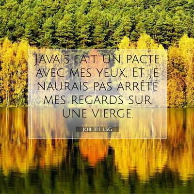 Picture 07 - Job 31:1 LSG - J'avais fait un pacte avec mes yeux, Et je - Bible Verse Picture