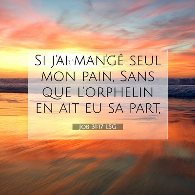 Picture 07 - Job 31:17 LSG - Si j'ai mangé seul mon pain, Sans que l'orphelin - Bible Verse Picture