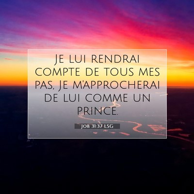 Picture 07 - Job 31:37 LSG - Je lui rendrai compte de tous mes pas, Je - Bible Verse Picture