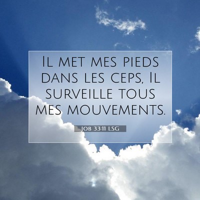 Picture 07 - Job 33:11 LSG - Il met mes pieds dans les ceps, Il surveille tous - Bible Verse Picture