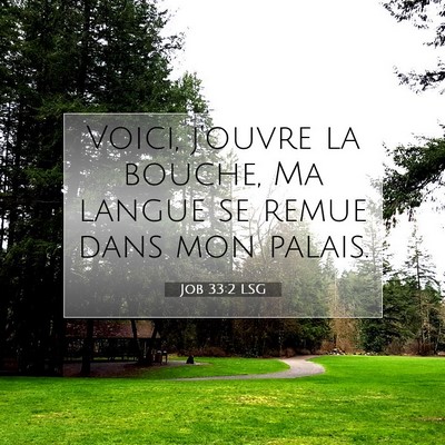 Picture 07 - Job 33:2 LSG - Voici, j'ouvre la bouche, Ma langue se remue dans - Bible Verse Picture