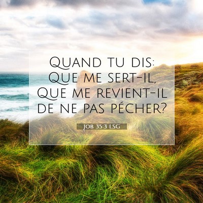 Picture 07 - Job 35:3 LSG - Quand tu dis: Que me sert-il, Que me revient-il - Bible Verse Picture
