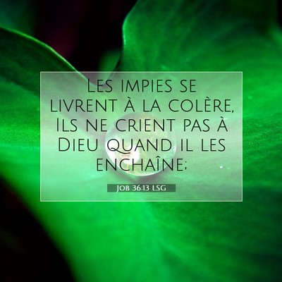 Picture 07 - Job 36:13 LSG - Les impies se livrent à la colère, Ils ne - Bible Verse Picture