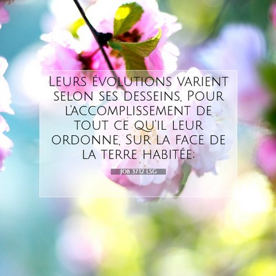 Picture 07 - Job 37:12 LSG - Leurs évolutions varient selon ses desseins, - Bible Verse Picture