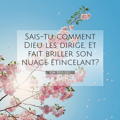 Picture 07 - Job 37:15 LSG - Sais-tu comment Dieu les dirige, Et fait briller - Bible Verse Picture