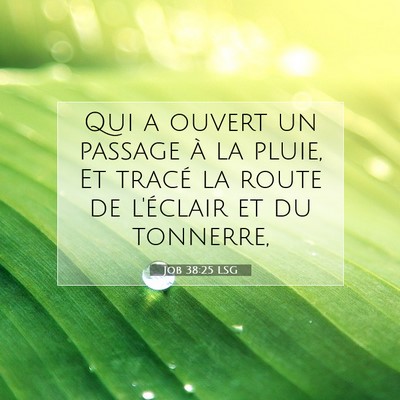 Picture 07 - Job 38:25 LSG - Qui a ouvert un passage à la pluie, Et tracé la - Bible Verse Picture