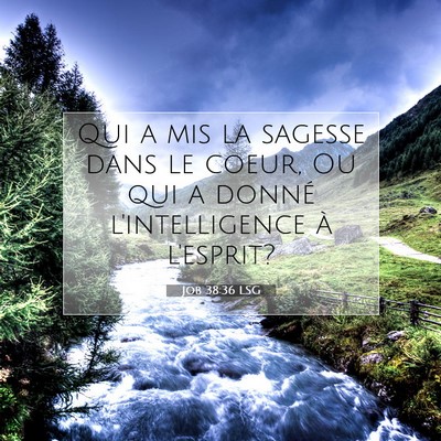 Picture 07 - Job 38:36 LSG - Qui a mis la sagesse dans le coeur, Ou qui a - Bible Verse Picture