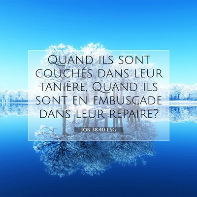 Picture 07 - Job 38:40 LSG - Quand ils sont couchés dans leur tanière, Quand - Bible Verse Picture