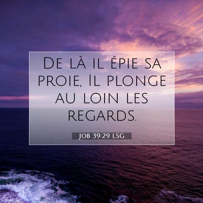 Picture 07 - Job 39:29 LSG - De là il épie sa proie, Il plonge au loin les - Bible Verse Picture