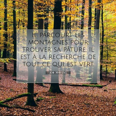 Picture 07 - Job 39:8 LSG - Il parcourt les montagnes pour trouver sa - Bible Verse Picture
