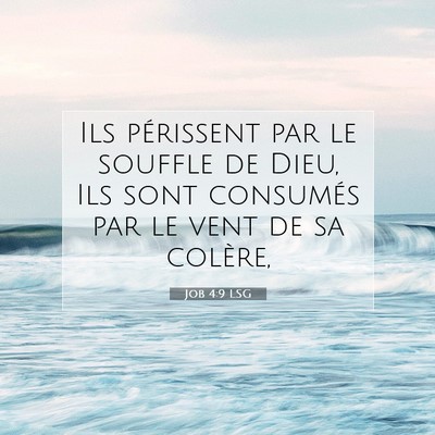 Picture 07 - Job 4:9 LSG - Ils périssent par le souffle de Dieu, Ils sont - Bible Verse Picture