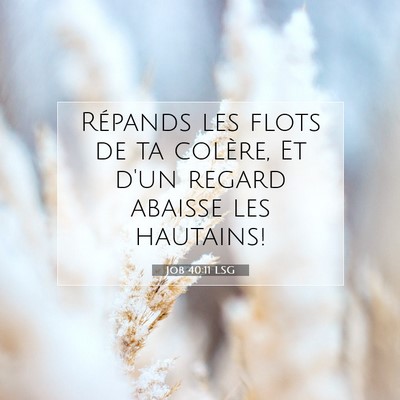 Picture 07 - Job 40:11 LSG - Répands les flots de ta colère, Et d'un regard - Bible Verse Picture