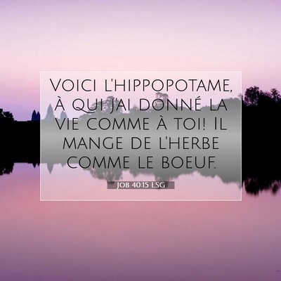 Picture 07 - Job 40:15 LSG - Voici l'hippopotame, à qui j'ai donné la vie - Bible Verse Picture