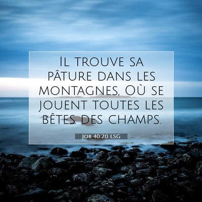 Picture 07 - Job 40:20 LSG - Il trouve sa pâture dans les montagnes, Où se - Bible Verse Picture