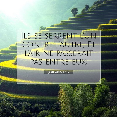 Picture 07 - Job 41:16 LSG - Ils se serrent l'un contre l'autre, Et l'air ne - Bible Verse Picture