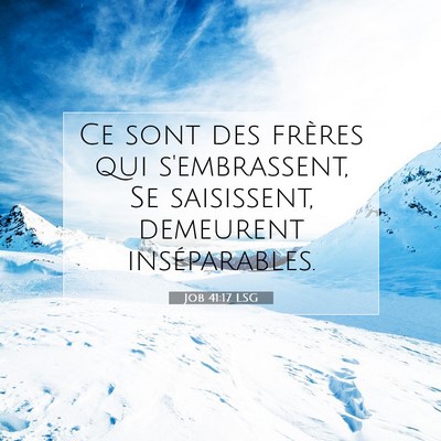 Picture 07 - Job 41:17 LSG - Ce sont des frères qui s'embrassent, Se - Bible Verse Picture
