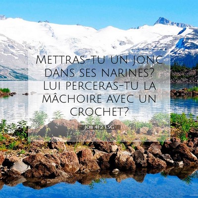 Picture 07 - Job 41:2 LSG - Mettras-tu un jonc dans ses narines? Lui - Bible Verse Picture