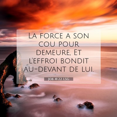 Picture 07 - Job 41:22 LSG - La force a son cou pour demeure, Et l'effroi - Bible Verse Picture