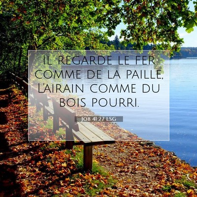 Picture 07 - Job 41:27 LSG - Il regarde le fer comme de la paille, L'airain - Bible Verse Picture