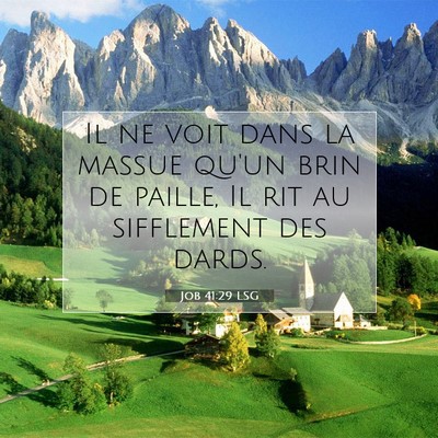 Picture 07 - Job 41:29 LSG - Il ne voit dans la massue qu'un brin de paille, - Bible Verse Picture