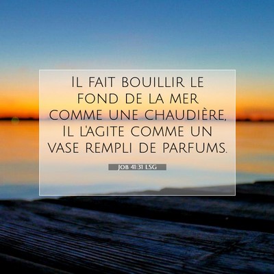 Picture 07 - Job 41:31 LSG - Il fait bouillir le fond de la mer comme une - Bible Verse Picture