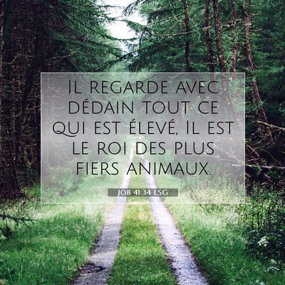 Picture 07 - Job 41:34 LSG - Il regarde avec dédain tout ce qui est élevé, - Bible Verse Picture