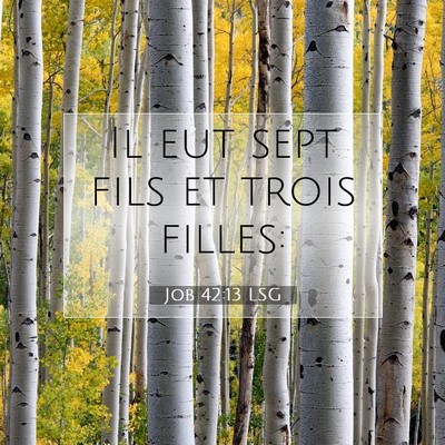 Picture 07 - Job 42:13 LSG - Il eut sept fils et trois - Bible Verse Picture