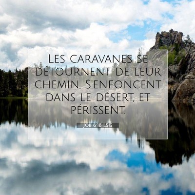 Picture 07 - Job 6:18 LSG - Les caravanes se détournent de leur chemin, - Bible Verse Picture