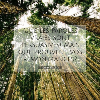 Picture 07 - Job 6:25 LSG - Que les paroles vraies sont persuasives! Mais que - Bible Verse Picture