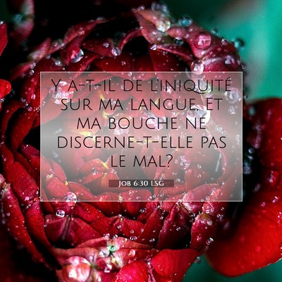 Picture 07 - Job 6:30 LSG - Y a-t-il de l'iniquité sur ma langue, Et ma - Bible Verse Picture