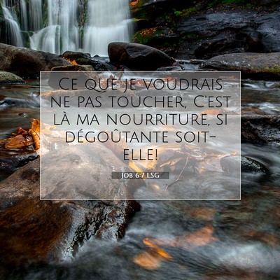 Picture 07 - Job 6:7 LSG - Ce que je voudrais ne pas toucher, C'est là ma - Bible Verse Picture