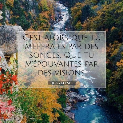 Picture 07 - Job 7:14 LSG - C'est alors que tu m'effraies par des songes, Que - Bible Verse Picture