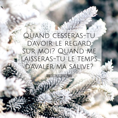 Picture 07 - Job 7:19 LSG - Quand cesseras-tu d'avoir le regard sur moi? - Bible Verse Picture