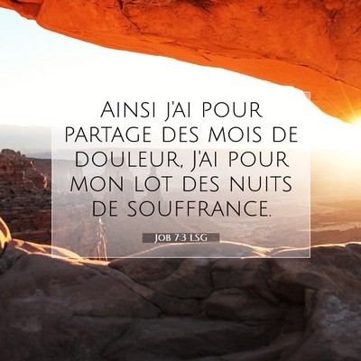 Picture 07 - Job 7:3 LSG - Ainsi j'ai pour partage des mois de douleur, J'ai - Bible Verse Picture