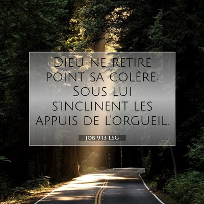 Picture 07 - Job 9:13 LSG - Dieu ne retire point sa colère; Sous lui - Bible Verse Picture