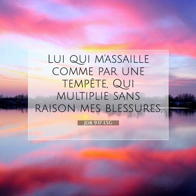 Picture 07 - Job 9:17 LSG - Lui qui m'assaille comme par une tempête, Qui - Bible Verse Picture