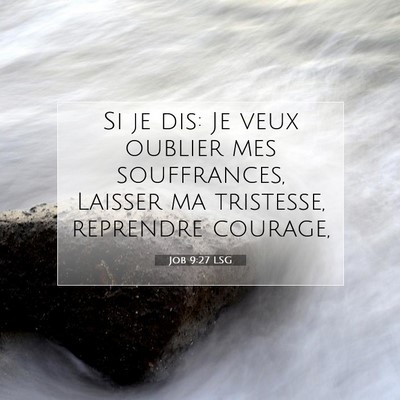 Picture 07 - Job 9:27 LSG - Si je dis: Je veux oublier mes souffrances, - Bible Verse Picture