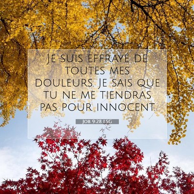 Picture 07 - Job 9:28 LSG - Je suis effrayé de toutes mes douleurs. Je sais - Bible Verse Picture