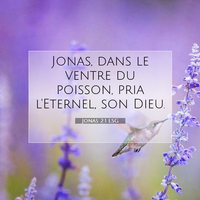 Picture 07 - Jonas 2:1 LSG - Jonas, dans le ventre du poisson, pria l'Eternel, - Bible Verse Picture