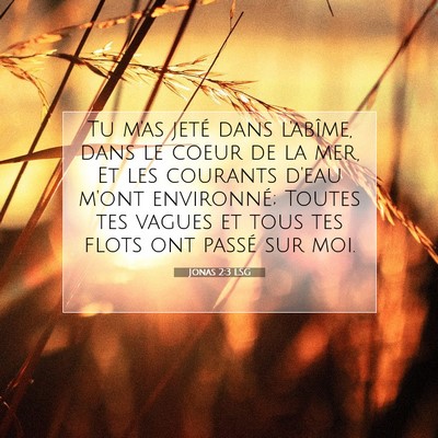 Picture 07 - Jonas 2:3 LSG - Tu m'as jeté dans l'abîme, dans le coeur de la - Bible Verse Picture