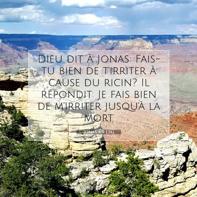 Picture 07 - Jonas 4:9 LSG - Dieu dit à Jonas: Fais-tu bien de t'irriter à - Bible Verse Picture